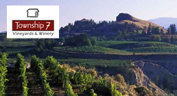 Limo-wine-tour-Township7